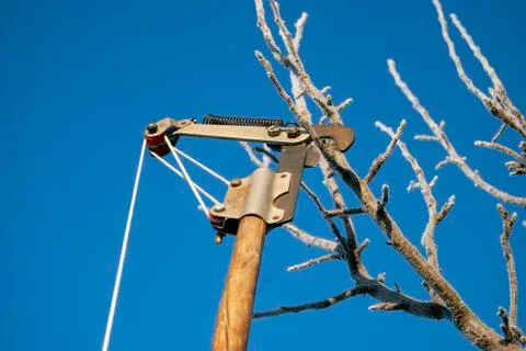 Iron garden pruner for pruning tree branches. Stock Photos