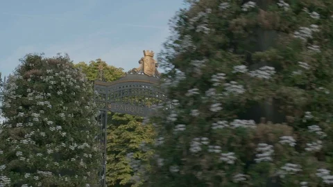 Iron gate with gold Stock Footage 108552634