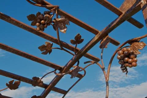 Iron grapes Stock Photos