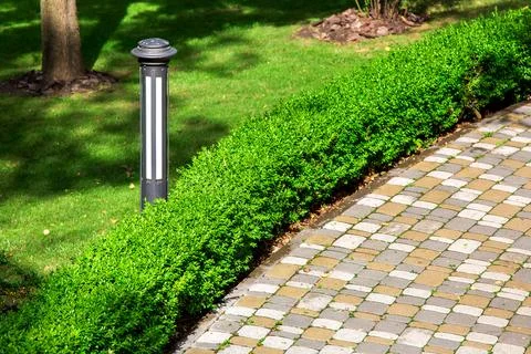 Iron ground lantern lighting stone tile path with hedge of evergreen bushes. Stock Photos