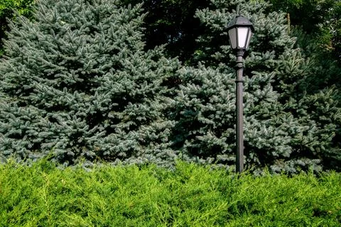 Iron lamp post with a lantern in retro style in the park. Stock Photos