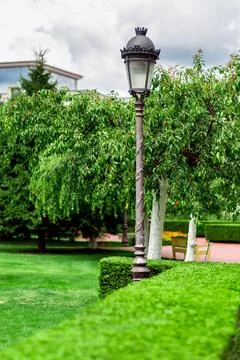 An iron lamppost with a pattern and a lantern with glass shade in garden. Stock Photos