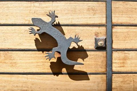 Iron lizard handle and shadow Photos