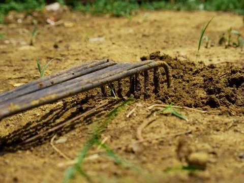 Iron made construction tools presented while digging soil on agriculture fiel Stock Photos