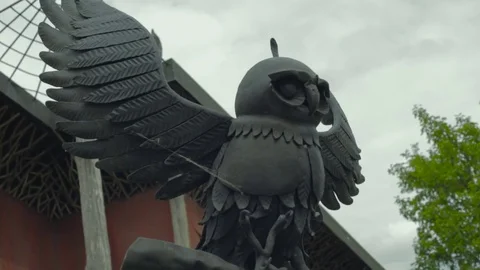 Iron Owl Standing 動画素材 85181793