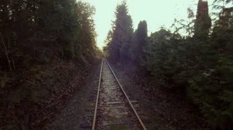 Iron path in the forest Vídeos de archivo 46063988