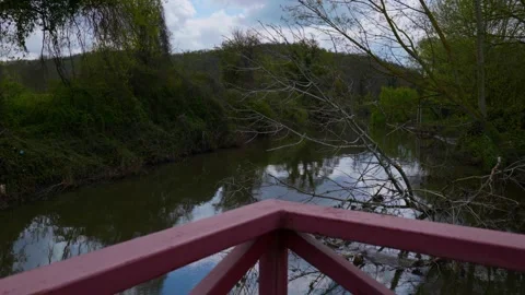 Iron Pier Extending into Calm Stream Surrounded by Green Trees Stock Footage 338266979