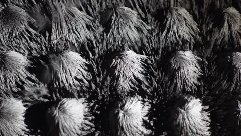 Iron powder dancing in strong electro magnetic field. Stock Footage 164840370