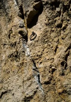 Iron ring on a rock wall Stock Photos