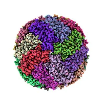 Iron storage molecule Stock Illustration