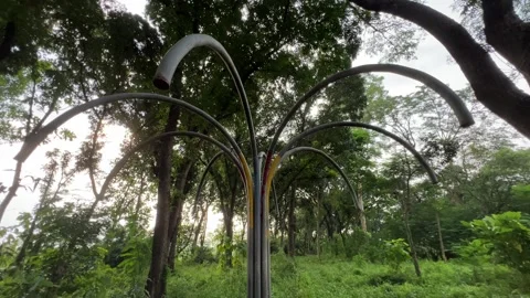 Iron structure like a tree in the forest Stock Footage 308347199