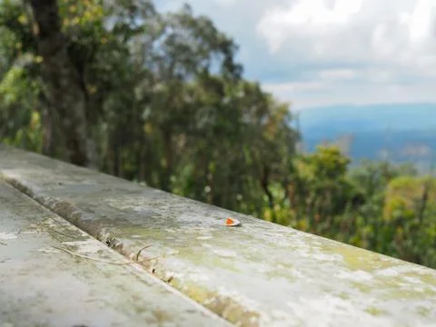 The iron table is empty on the background of forest, mountain and sky. Stock Photos