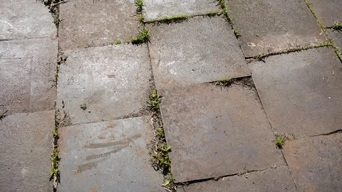 Iron tile, sidewalk, close-up Stock Footage 117472383