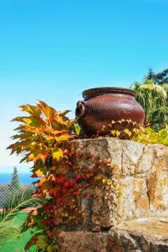 Iron vase and leaves Stock Photos