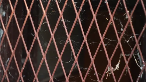 Iron Window Bars With Spider Webs - Haunted Abandoned Atmosphere Stock Footage 315350463