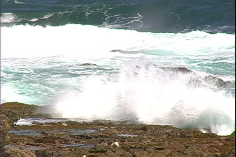 Ironshore Breakers-cu Stock-Footage 818179