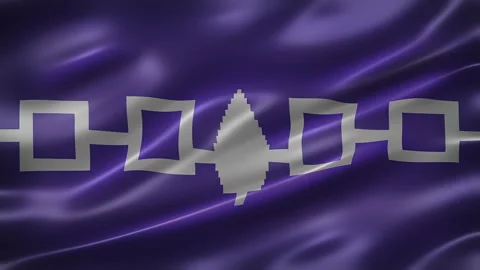 Iroquois Confederacy Flag, front view, full frame, glossy, elegant silky Stock Footage 267028535