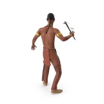 Iroquois Stock Illustration