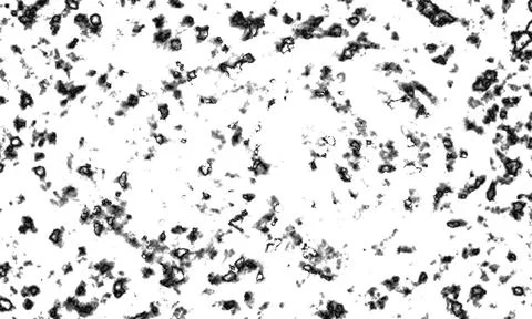 Irregular black and white splatter pattern creates an organic textured back.. Stock-Fotos