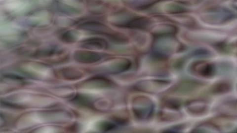 Irregular Dithered Abstract Patterns Movement Stock Footage 335599640
