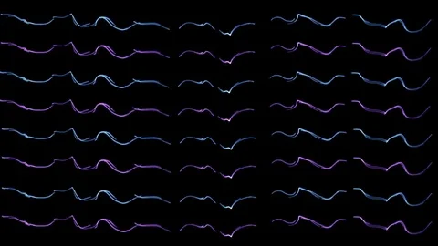 Irregular lines video background Stock Footage 80037363