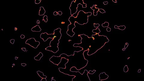 Irregular Shapes Pattern Pulsing Topographic Depths Stock Footage 302757908