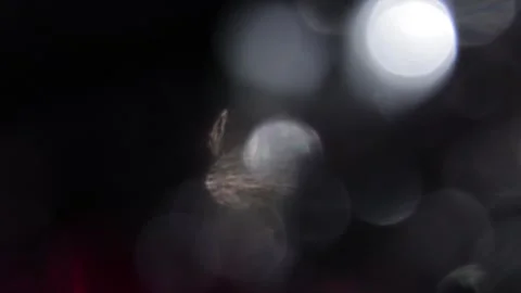 Irregular video of white and red bokeh lights at night Vídeos de archivo 317450746