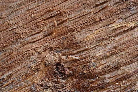 Irregular wooden surface Stock Photos