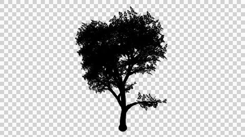 Irregularly shaped tree silhouette with sparse foliage and exposed branches.. Stock Illustration