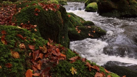Irrel River, German Eifel Highlands Vídeos de archivo 92937098