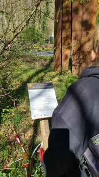 At the Irrel Waterfalls in the Eifel Foto stock