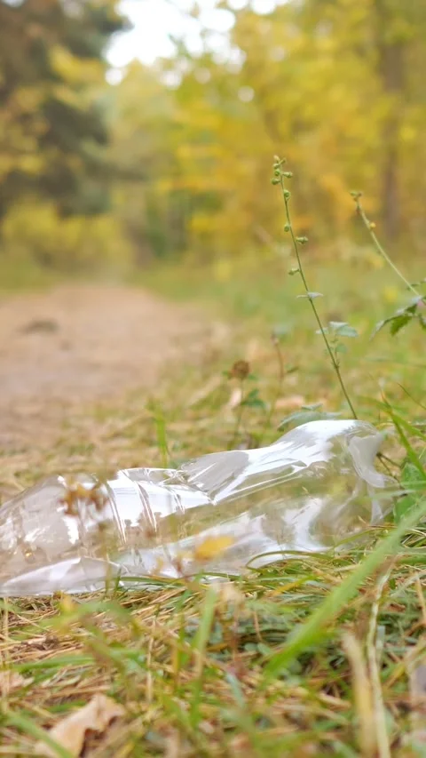 Irresponsible tourist throwing plastic bottle into the grass while walking on a Stock Footage 341677034
