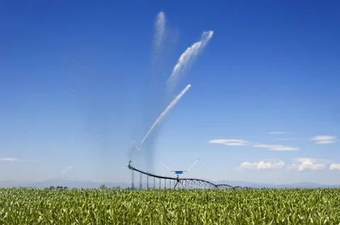 Irrigating A Field Of Corn Stock Photos