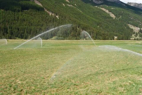 Irrigating field on summer Foto stock