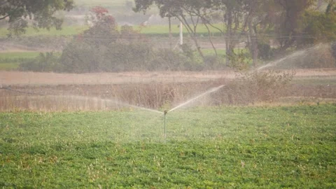 Irrigating fields with modern irrigation pipes Stock Footage 151936987