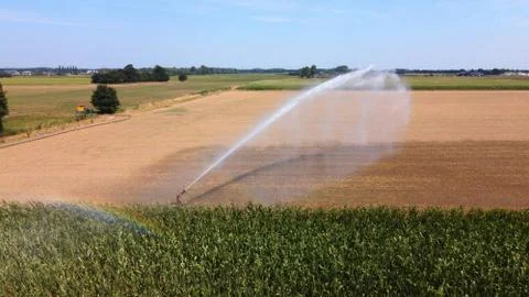 Irrigating maize in the summer Stock Photos