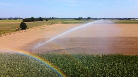Irrigating maize in the summer Stock Photos