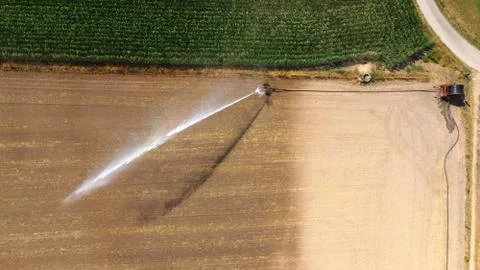 Irrigating maize in the summer Foto stock