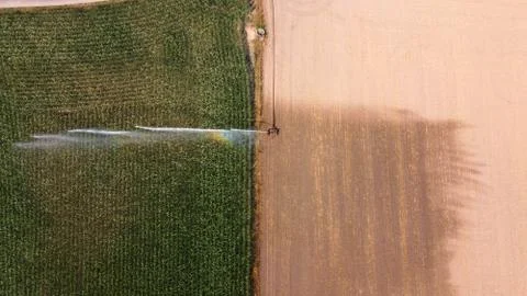 Irrigating maize in the summer Stock Photos