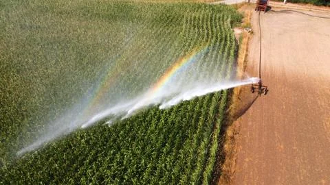 Irrigating maize in the summer Stock Photos