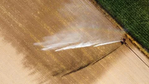 Irrigating maize in the summer Stock Photos