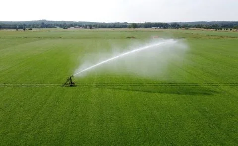 Irrigating meadow in the summer Stock Photos