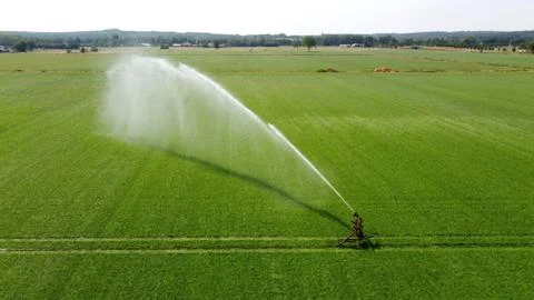 Irrigating meadow in the summer Stock Photos