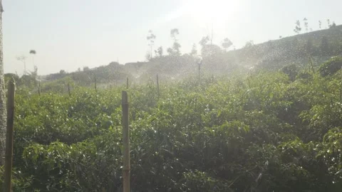 Irrigating plants in the mountains using a rotating water pump 스톡 동영상 289387208