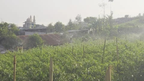Irrigating plants in the mountains using a rotating water pump Stock Footage 289387209