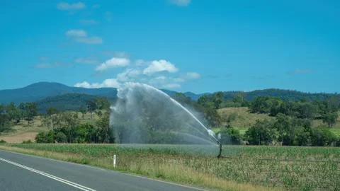 Irrigating A Sugar Cane Crop Stock Photos