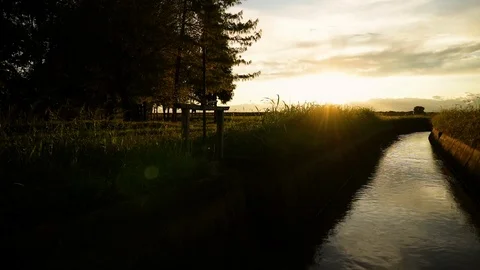 Irrigation canal between rice fields in Italy at sunset Stock Footage 119506818