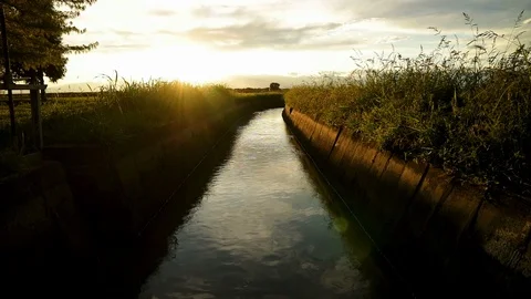Irrigation canal between rice fields in Italy Stock Footage 119506845