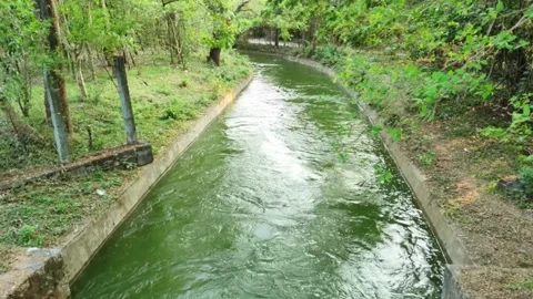 Irrigation Canal with Concrete Lining Flowing Through Tropical Forest in Ke.. Stock Footage 333393881