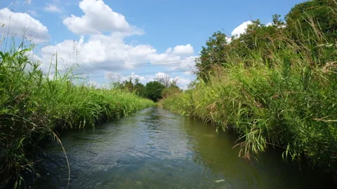 Irrigation canal flows through the countryside on a summer afternoon Stock Footage 166245032
